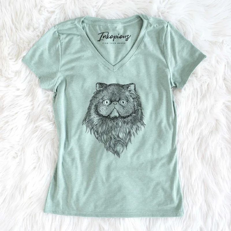 Bare Vader the Persian Cat - Women's V-neck Shirt-- Seamless Knitted Crochet